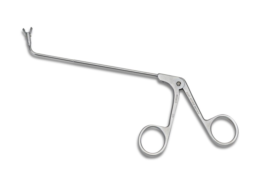 洋楽 Spoonful Productionz DRESS - Spoon | 100percent オンラインストア